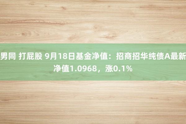 男同 打屁股 9月18日基金净值：招商招华纯债A最新净值1.0968，涨0.1%