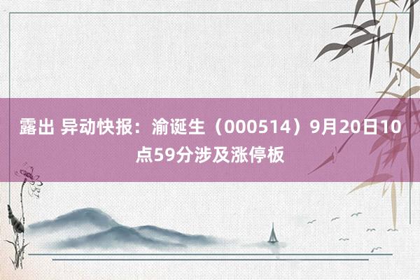 露出 异动快报:渝诞生(000514)9月20日10点59分涉及涨停板