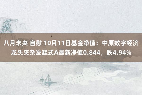 八月未央 自慰 10月11日基金净值：中原数字经济龙头夹杂发起式A最新净值0.844，跌4.94%