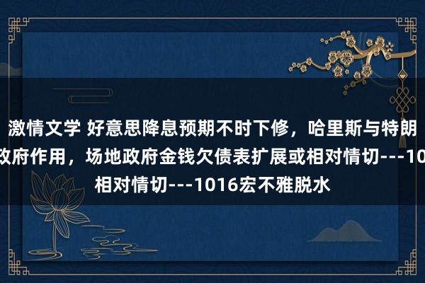 激情文学 好意思降息预期不时下修,哈里斯与特朗普计谋互异在政府作用,场地政府金钱欠债表扩展或相对情切---1016宏不雅脱水