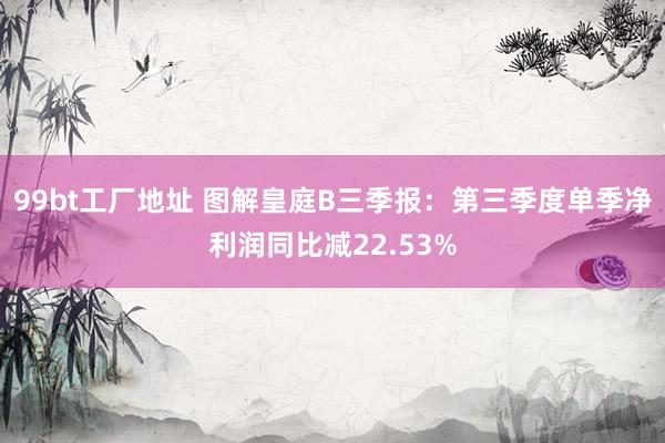 99bt工厂地址 图解皇庭B三季报:第三季度单季净利润同比减22.53%