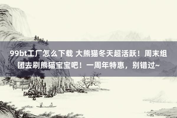 99bt工厂怎么下载 大熊猫冬天超活跃！周末组团去刷熊猫宝宝吧！一周年特惠，别错过~
