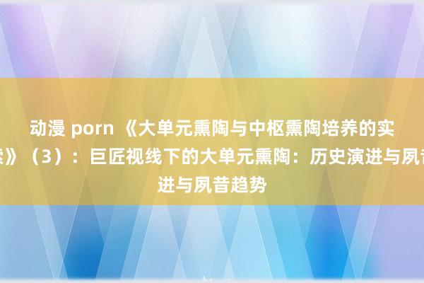 动漫 porn 《大单元熏陶与中枢熏陶培养的实践探索》（3）：巨匠视线下的大单元熏陶：历史演进与夙昔趋势