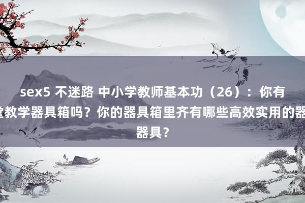 sex5 不迷路 中小学教师基本功（26）：你有课堂教学器具箱吗？你的器具箱里齐有哪些高效实用的器具？