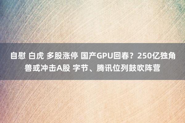 自慰 白虎 多股涨停 国产GPU回春？250亿独角兽或冲击A股 字节、腾讯位列鼓吹阵营