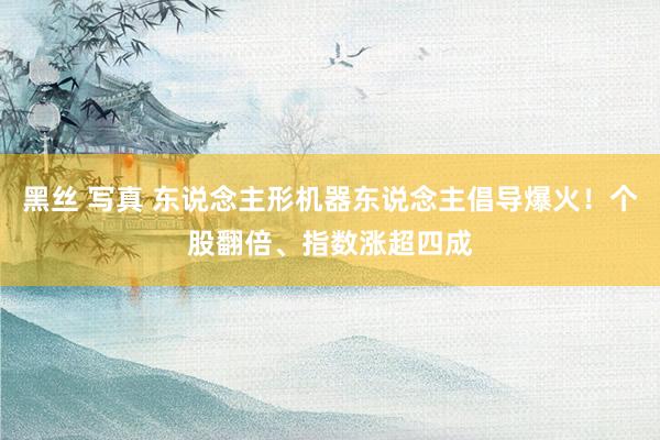 黑丝 写真 东说念主形机器东说念主倡导爆火！个股翻倍、指数涨超四成