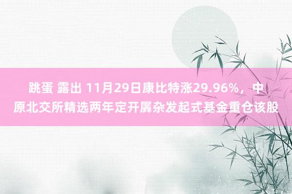 跳蛋 露出 11月29日康比特涨29.96%，中原北交所精选两年定开羼杂发起式基金重仓该股