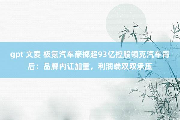 gpt 文爱 极氪汽车豪掷超93亿控股领克汽车背后：品牌内讧加重，利润端双双承压