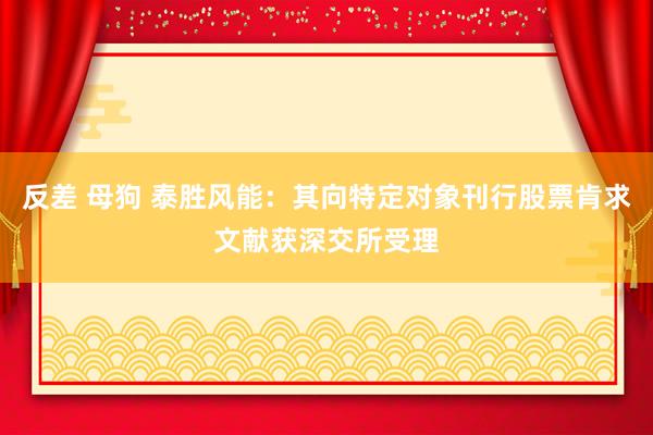 反差 母狗 泰胜风能:其向特定对象刊行股票肯求文献获深交所受理