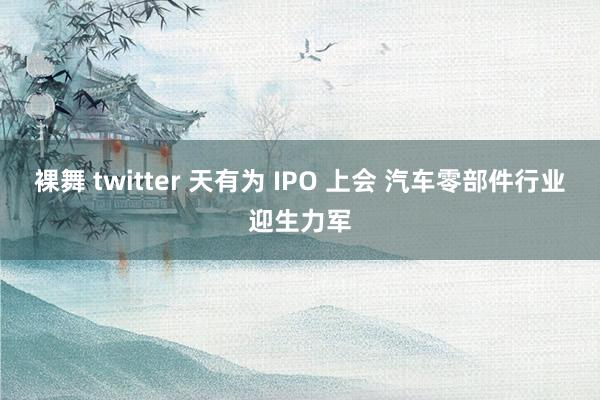 裸舞 twitter 天有为 IPO 上会 汽车零部件行业迎生力军