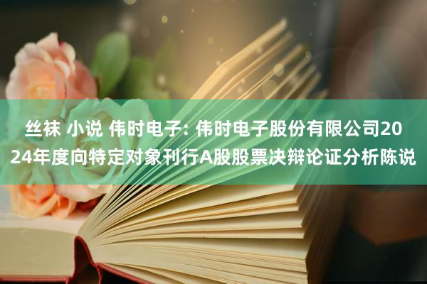 丝袜 小说 伟时电子: 伟时电子股份有限公司2024年度向特定对象刊行A股股票决辩论证分析陈说