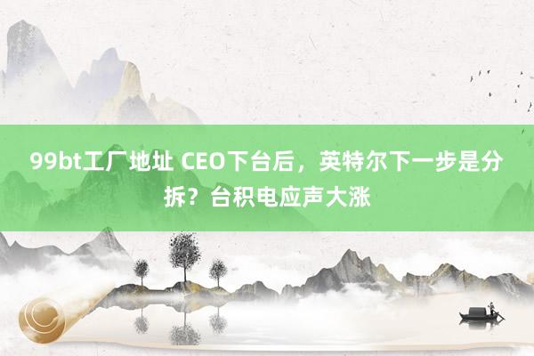 99bt工厂地址 CEO下台后，英特尔下一步是分拆？台积电应声大涨