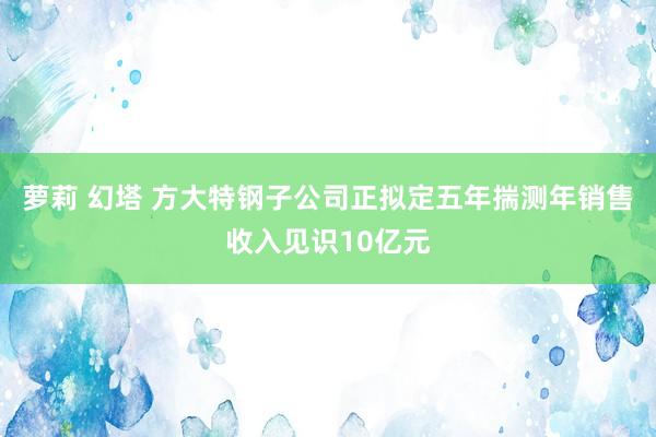 萝莉 幻塔 方大特钢子公司正拟定五年揣测年销售收入见识10亿元