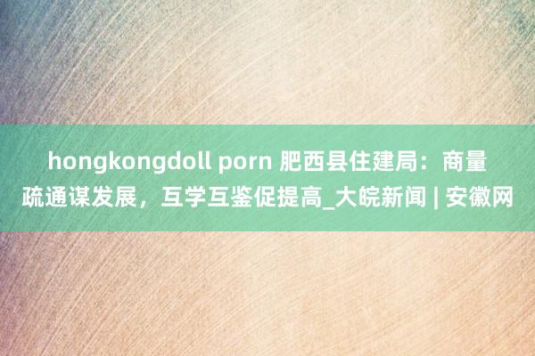 hongkongdoll porn 肥西县住建局：商量疏通谋发展，互学互鉴促提高_大皖新闻 | 安徽网