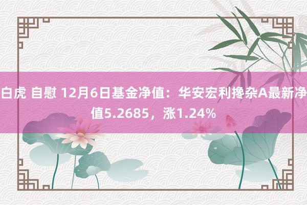 白虎 自慰 12月6日基金净值：华安宏利搀杂A最新净值5.2685，涨1.24%