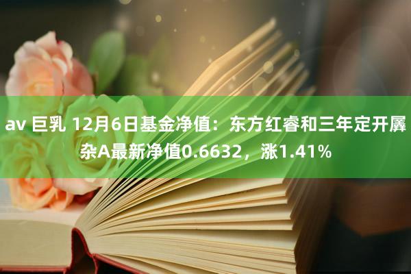 av 巨乳 12月6日基金净值：东方红睿和三年定开羼杂A最新净值0.6632，涨1.41%