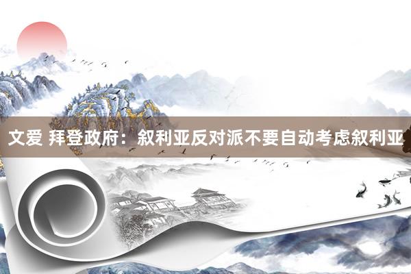 文爱 拜登政府：叙利亚反对派不要自动考虑叙利亚