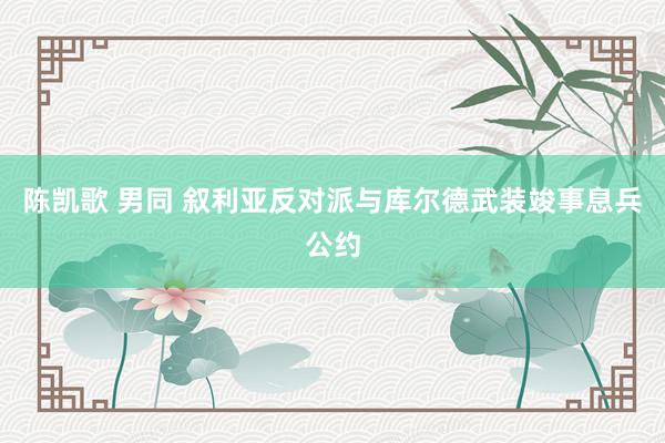 陈凯歌 男同 叙利亚反对派与库尔德武装竣事息兵公约