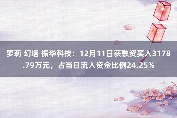 萝莉 幻塔 振华科技：12月11日获融资买入3178.79万元，占当日流入资金比例24.25%