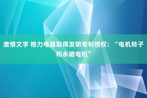 激情文学 格力电器取得发明专利授权：“电机转子和永磁电机”