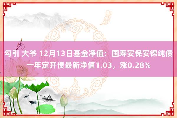 勾引 大爷 12月13日基金净值：国寿安保安锦纯债一年定开债最新净值1.03，涨0.28%