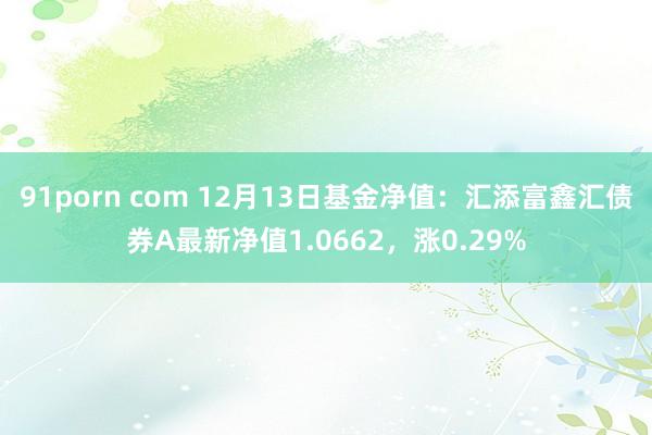 91porn com 12月13日基金净值：汇添富鑫汇债券A最新净值1.0662，涨0.29%