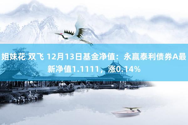 姐妹花 双飞 12月13日基金净值：永赢泰利债券A最新净值1.1111，涨0.14%