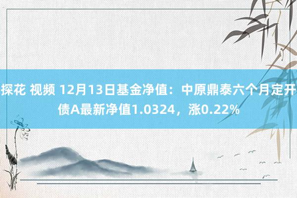探花 视频 12月13日基金净值：中原鼎泰六个月定开债A最新净值1.0324，涨0.22%