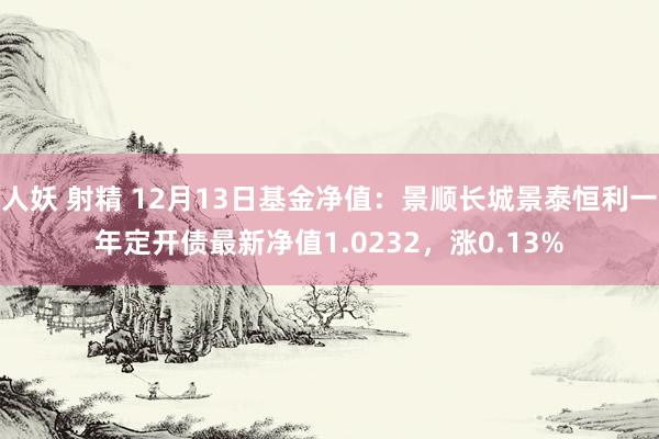 人妖 射精 12月13日基金净值：景顺长城景泰恒利一年定开债最新净值1.0232，涨0.13%