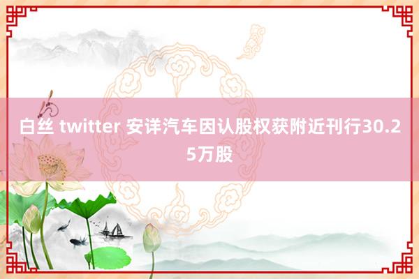 白丝 twitter 安详汽车因认股权获附近刊行30.25万股