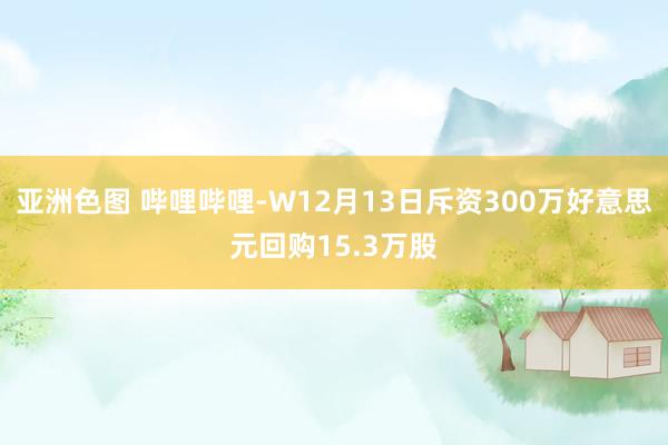 亚洲色图 哔哩哔哩-W12月13日斥资300万好意思元回购15.3万股