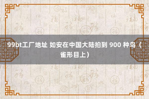 99bt工厂地址 如安在中国大陆拍到 900 种鸟（雀形目上）