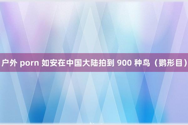 户外 porn 如安在中国大陆拍到 900 种鸟（鹦形目）