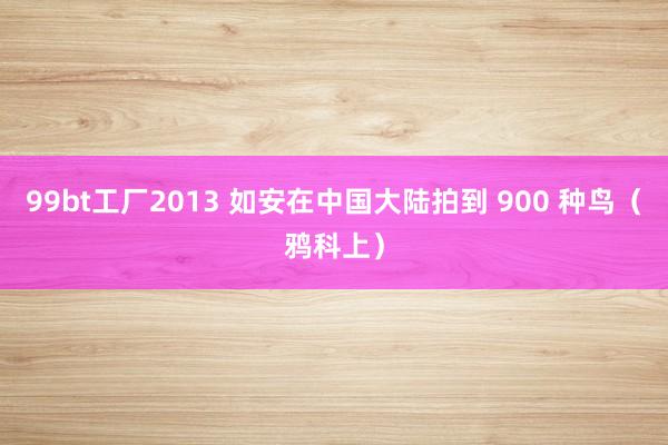 99bt工厂2013 如安在中国大陆拍到 900 种鸟（鸦科上）