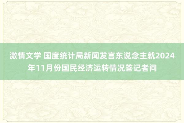 激情文学 国度统计局新闻发言东说念主就2024年11月份国民经济运转情况答记者问
