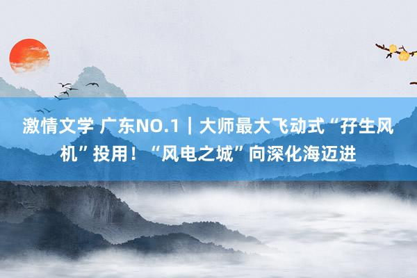 激情文学 广东NO.1｜大师最大飞动式“孖生风机”投用！“风电之城”向深化海迈进