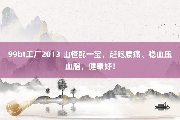99bt工厂2013 山楂配一宝，赶跑腰痛、稳血压血脂，健康好！