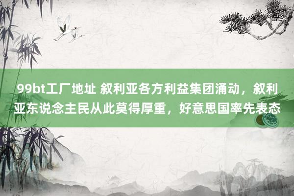 99bt工厂地址 叙利亚各方利益集团涌动，叙利亚东说念主民从此莫得厚重，好意思国率先表态