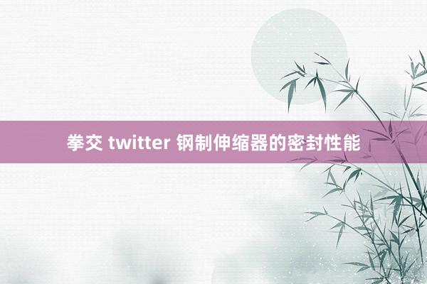 拳交 twitter 钢制伸缩器的密封性能