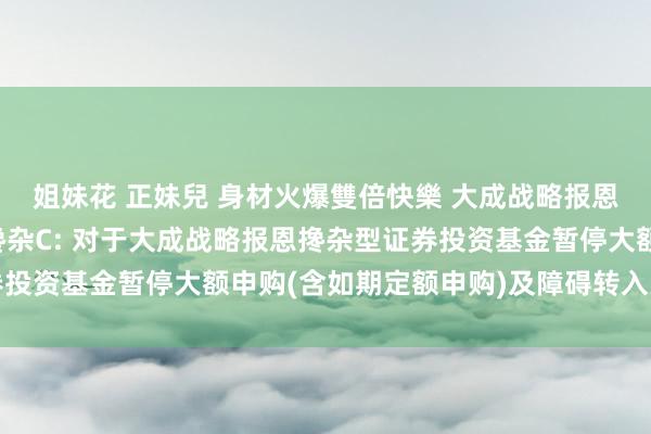 姐妹花 正妹兒 身材火爆雙倍快樂 大成战略报恩搀杂A，大成战略报恩搀杂C: 对于大成战略报恩搀杂型证券投资基金暂停大额申购(含如期定额申购)及障碍转入业务的公告