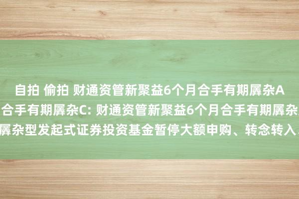 自拍 偷拍 财通资管新聚益6个月合手有期羼杂A,财通资管新聚益6个月合手有期羼杂C: 财通资管新聚益6个月合手有期羼杂型发起式证券投资基金暂停大额申购、转念转入、依期定额投资业务公告
