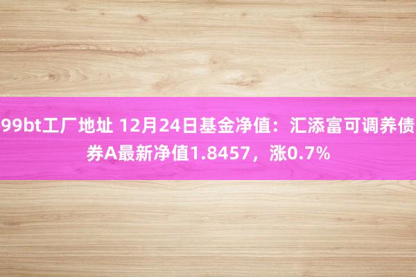 99bt工厂地址 12月24日基金净值：汇添富可调养债券A最新净值1.8457，涨0.7%