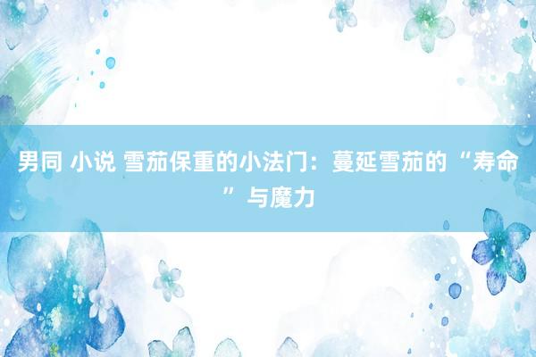 男同 小说 雪茄保重的小法门：蔓延雪茄的 “寿命” 与魔力