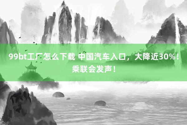 99bt工厂怎么下载 中国汽车入口，大降近30%！乘联会发声！