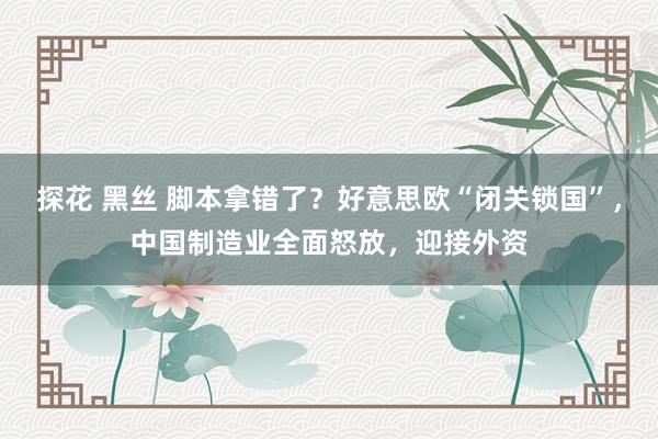 探花 黑丝 脚本拿错了？好意思欧“闭关锁国”，中国制造业全面怒放，迎接外资