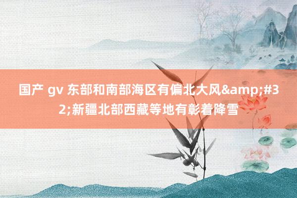 国产 gv 东部和南部海区有偏北大风&#32;新疆北部西藏等地有彰着降雪