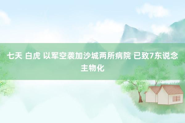 七天 白虎 以军空袭加沙城两所病院 已致7东说念主物化