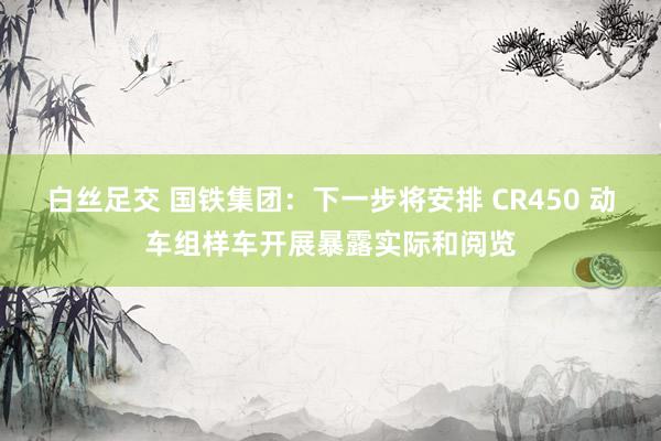 白丝足交 国铁集团：下一步将安排 CR450 动车组样车开展暴露实际和阅览