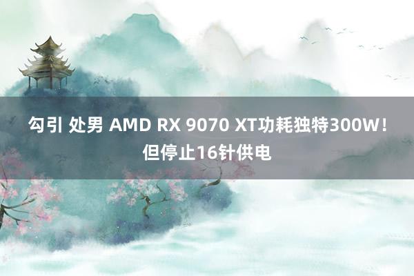 勾引 处男 AMD RX 9070 XT功耗独特300W！但停止16针供电