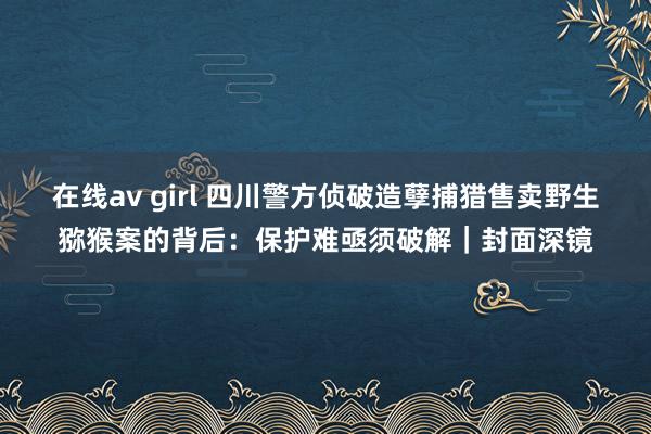 在线av girl 四川警方侦破造孽捕猎售卖野生猕猴案的背后：保护难亟须破解｜封面深镜